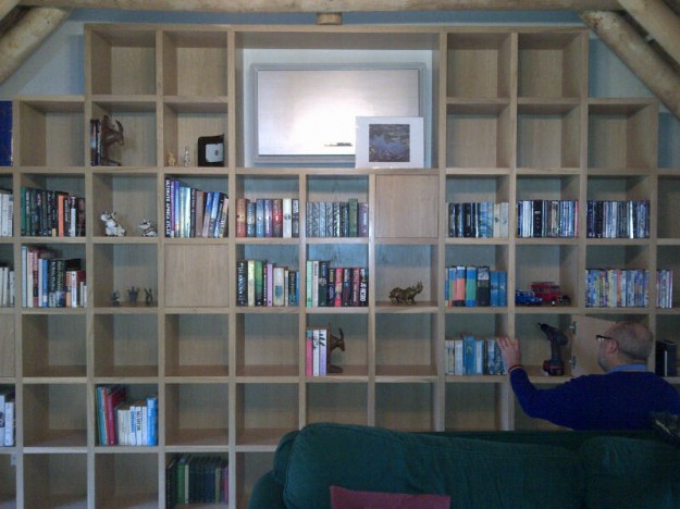 J-Suter-Bookshelves